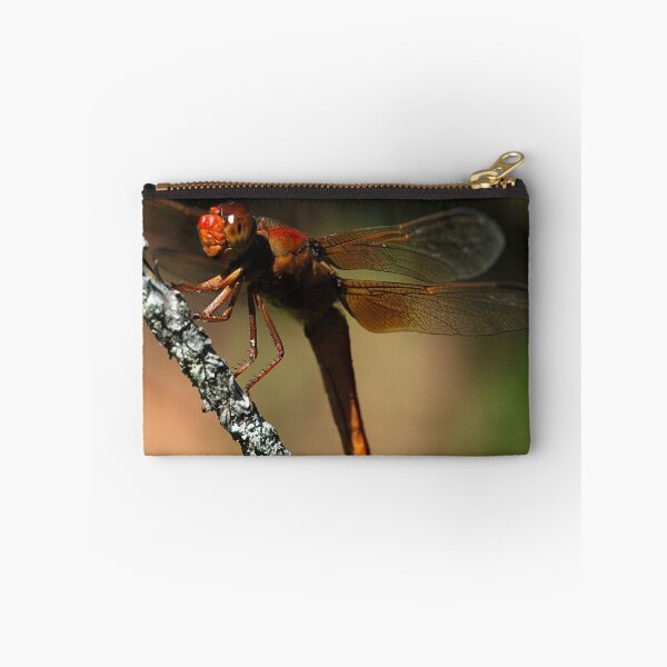 Item preview, Big Red - - libellula croceipennis  (Neon Skimmer dragonfly) designed and sold by Dennis Jones - CameraView.