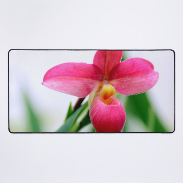 Item preview, Perfectly Pink designed and sold by Michael May.