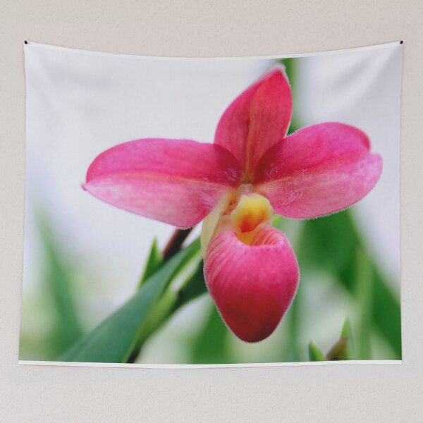 Item preview, Perfectly Pink designed and sold by Michael May.