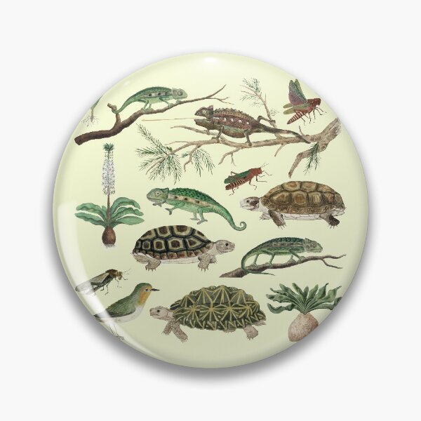 Item preview, Australia Fauna Biology Set Pack Bundle designed and sold by Red-ElYoubi.