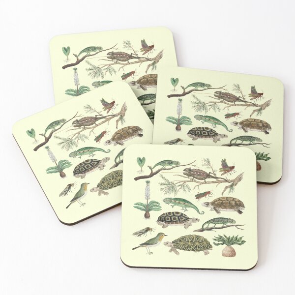 Item preview, Australia Fauna Biology Set Pack Bundle designed and sold by Red-ElYoubi.
