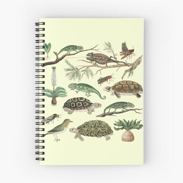 Item preview, Australia Fauna Biology Set Pack Bundle designed and sold by Red-ElYoubi.