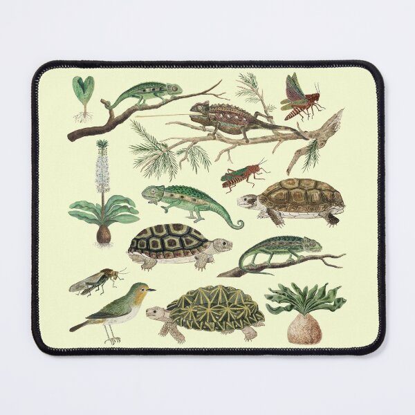 Item preview, Australia Fauna Biology Set Pack Bundle designed and sold by Red-ElYoubi.