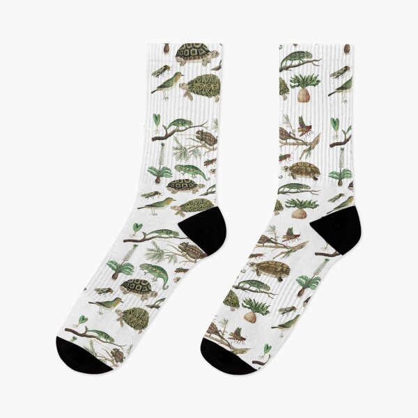 Item preview, Australia Fauna Biology Set Pack Bundle designed and sold by Red-ElYoubi.