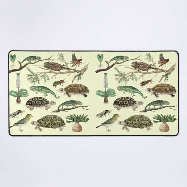Item preview, Australia Fauna Biology Set Pack Bundle designed and sold by Red-ElYoubi.