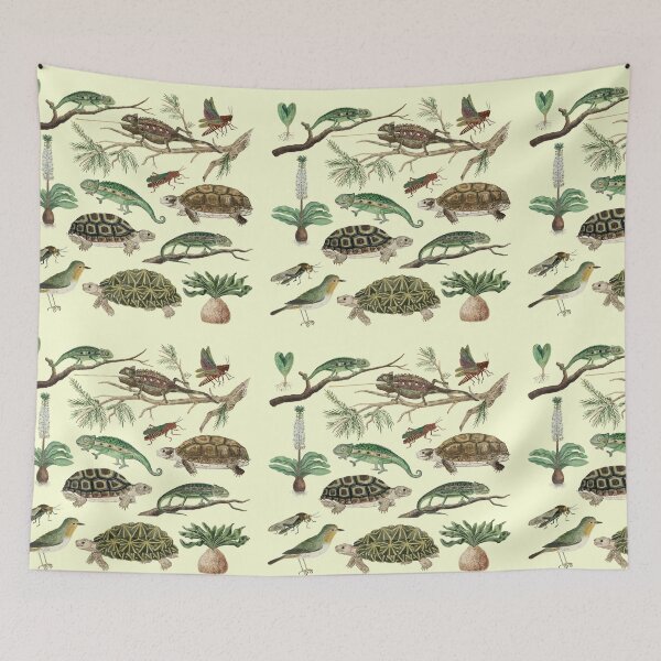 Item preview, Australia Fauna Biology Set Pack Bundle designed and sold by Red-ElYoubi.