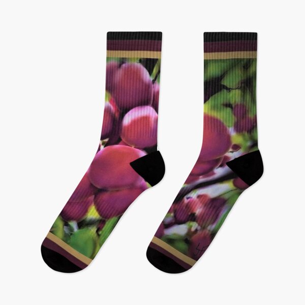 Item preview, Plums designed and sold by OBXLisaArt.
