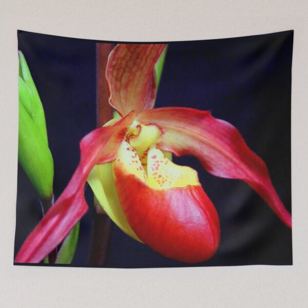 Item preview, Phrag-mentation designed and sold by Michael May.