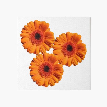 Art Board Print