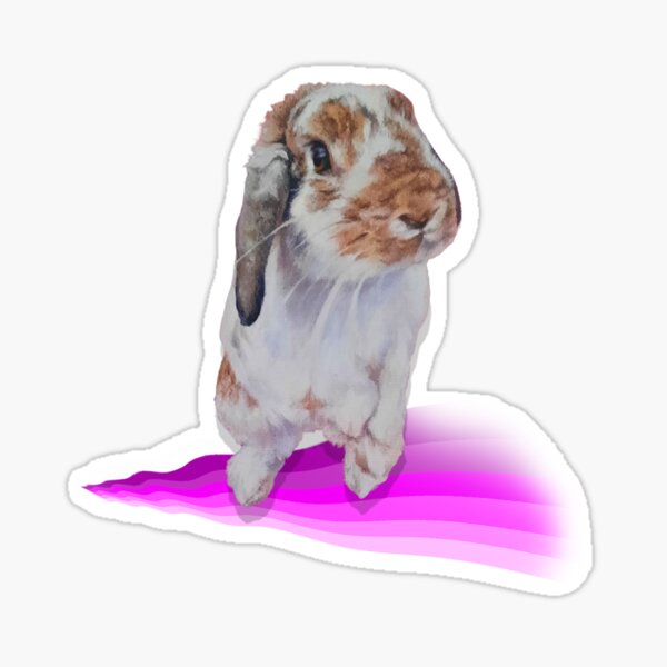 Beautiful lop bunny on a digital pink rainbow wave Sticker