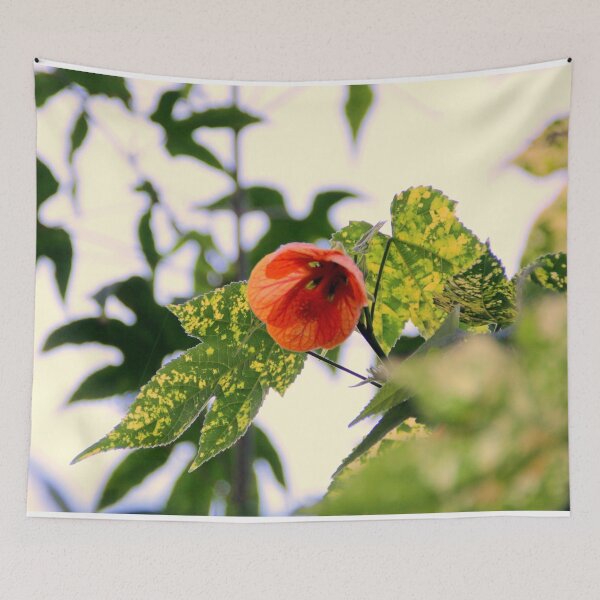 Item preview, A Beaut Of An Abutilon designed and sold by Michael May.