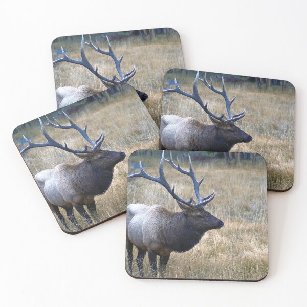 Item preview, Bull Elk designed and sold by Brian Kerls Photography.