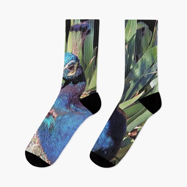 Item preview, The Peacock designed and sold by Brian Kerls Photography.