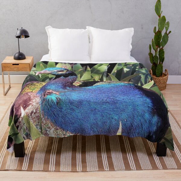 Item preview, The Peacock designed and sold by Brian Kerls Photography.