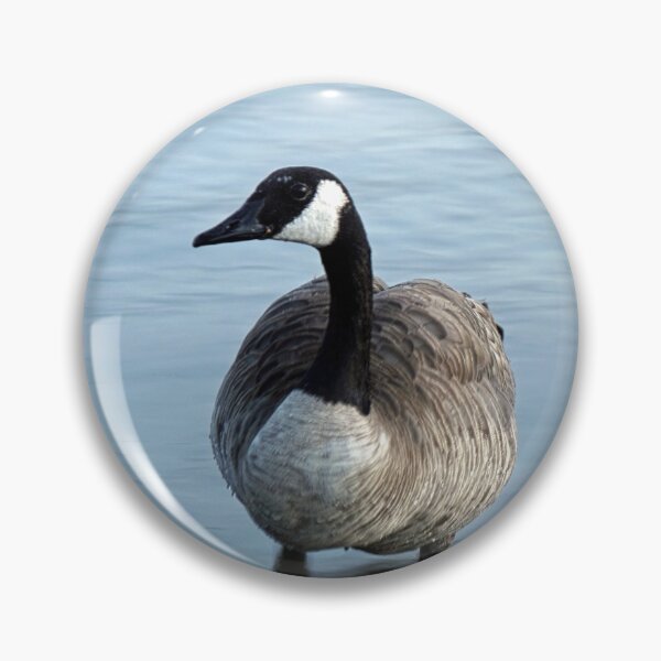 Item preview, Evening Goose designed and sold by Brian Kerls Photography.