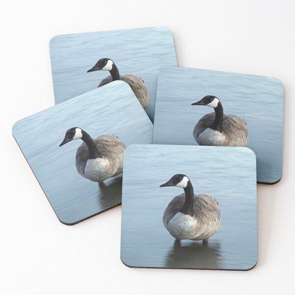 Item preview, Evening Goose designed and sold by Brian Kerls Photography.