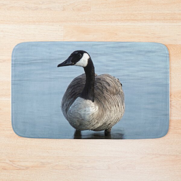 Item preview, Evening Goose designed and sold by Brian Kerls Photography.