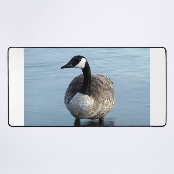 Item preview, Evening Goose designed and sold by Brian Kerls Photography.