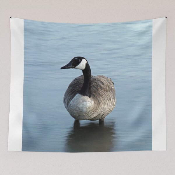 Item preview, Evening Goose designed and sold by Brian Kerls Photography.