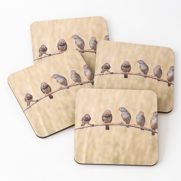 Item preview, Zebra Finches taken in Tennant Creek designed and sold by Ozjanette90.