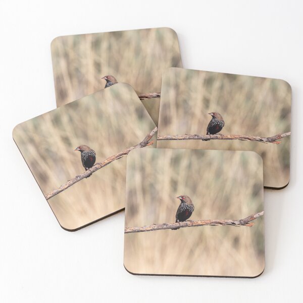 Item preview, Zebra and Painted Finches in Tennant Creek designed and sold by Ozjanette90.