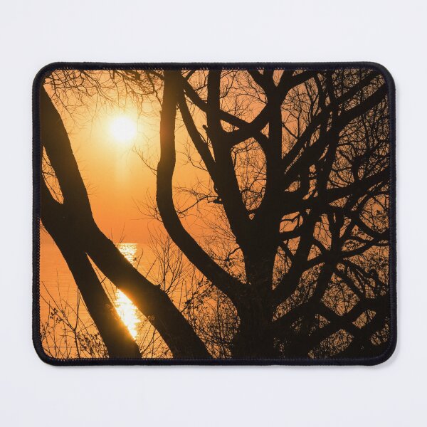 Item preview, Gorgeous Morning Through the Tree Screen designed and sold by Georgia Mizuleva.