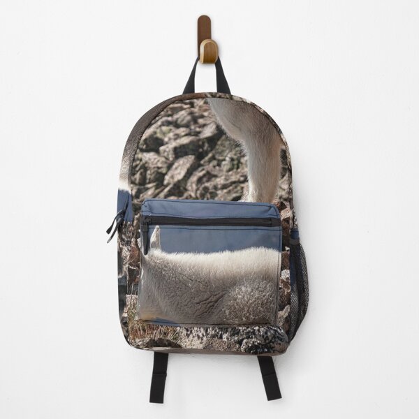 Item preview, Mountain Goat designed and sold by Brian Kerls Photography.