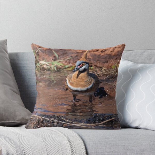 Item preview, spinifex pigeon in Northern Territory designed and sold by Ozjanette90.