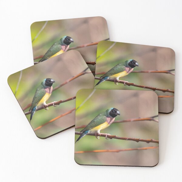 Item preview, Gouldian finch in the wild at Edith Falls Road, Northern Territory designed and sold by Ozjanette90.