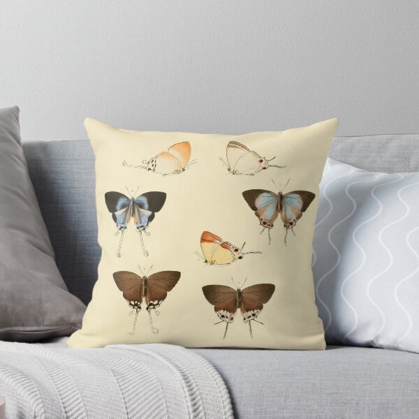 Item preview, Vintage Imperial Butterfly Illustration Plate designed and sold by WeFLVintage.
