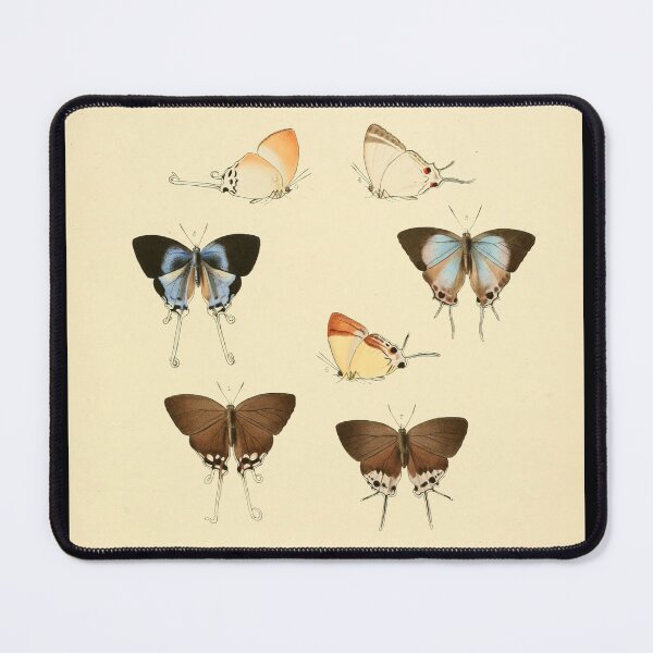 Item preview, Vintage Imperial Butterfly Illustration Plate designed and sold by WeFLVintage.
