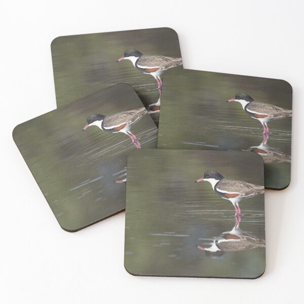 Item preview, Red-kneed dotterel at Bowra Sanctuary, Cunnamulla designed and sold by Ozjanette90.