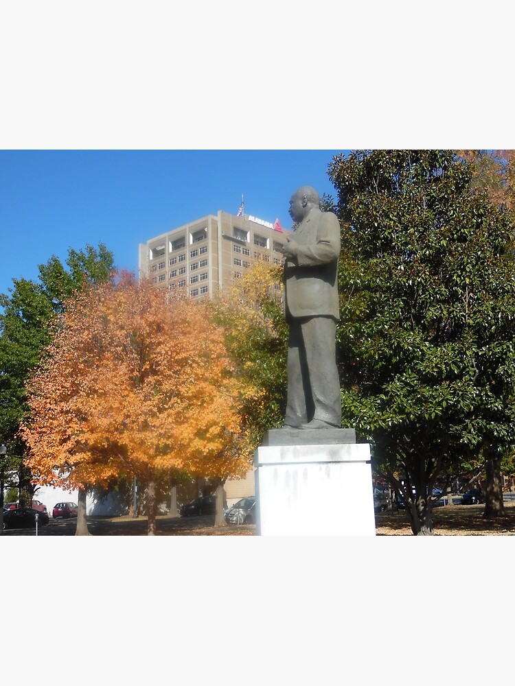 MLK by pandpmedia