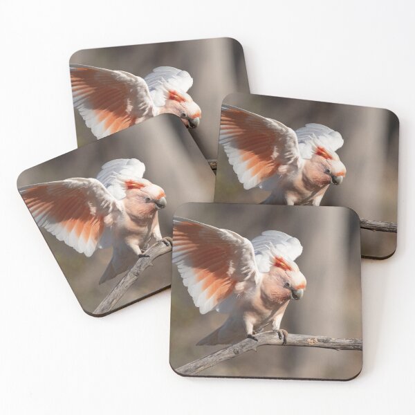 Item preview, Major Mitchell AKA Pink Cockatoo designed and sold by Ozjanette90.
