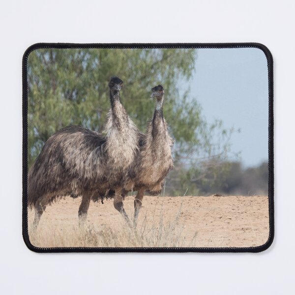 Item preview, Emus in outback Queensland designed and sold by Ozjanette90.