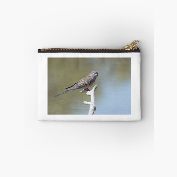 Item preview, Bourke's parrot at Bowra, Cunnamulla designed and sold by Ozjanette90.