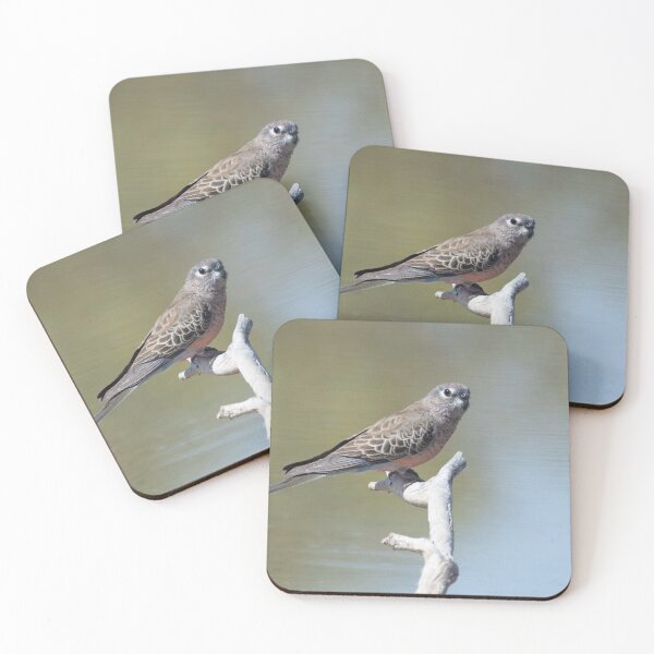 Item preview, Bourke's parrot at Bowra, Cunnamulla designed and sold by Ozjanette90.