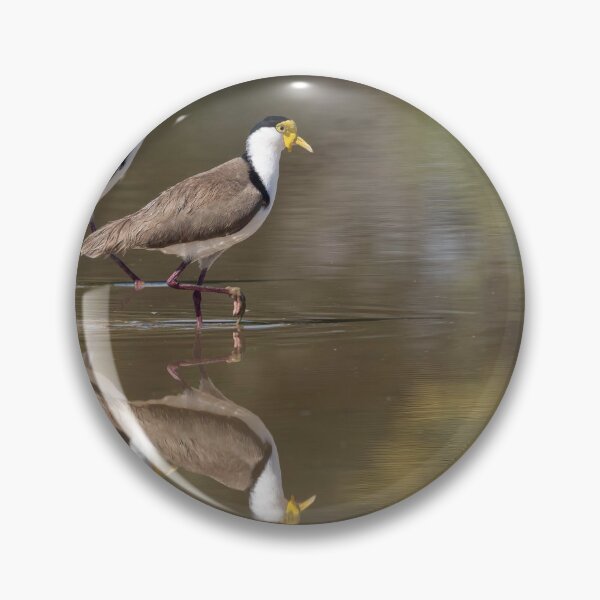 Item preview, Masked lapwings reflections designed and sold by Ozjanette90.