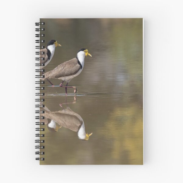 Item preview, Masked lapwings reflections designed and sold by Ozjanette90.
