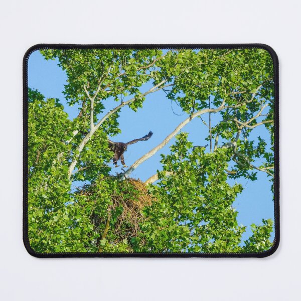 Item preview, I Think I Can Fly designed and sold by mljdwhite.