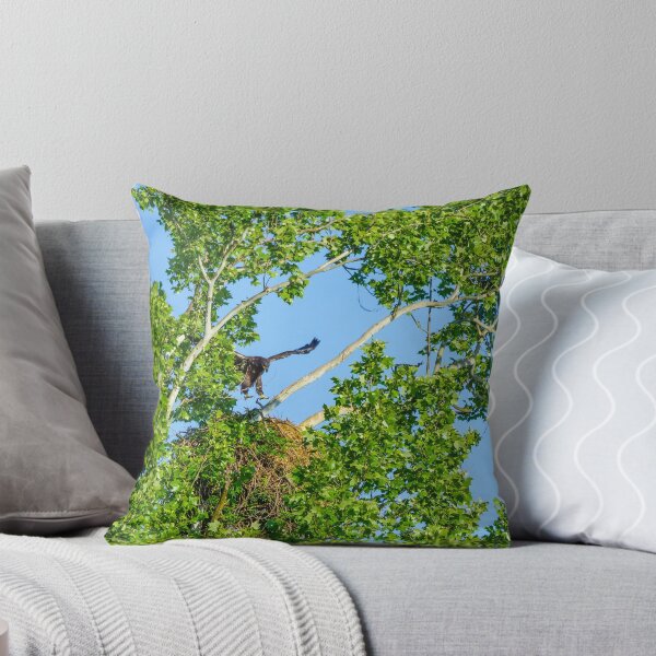 Item preview, I Think I Can Fly designed and sold by mljdwhite.