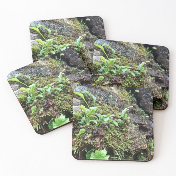 Item preview, the damp green  designed and sold by rainingcrow.