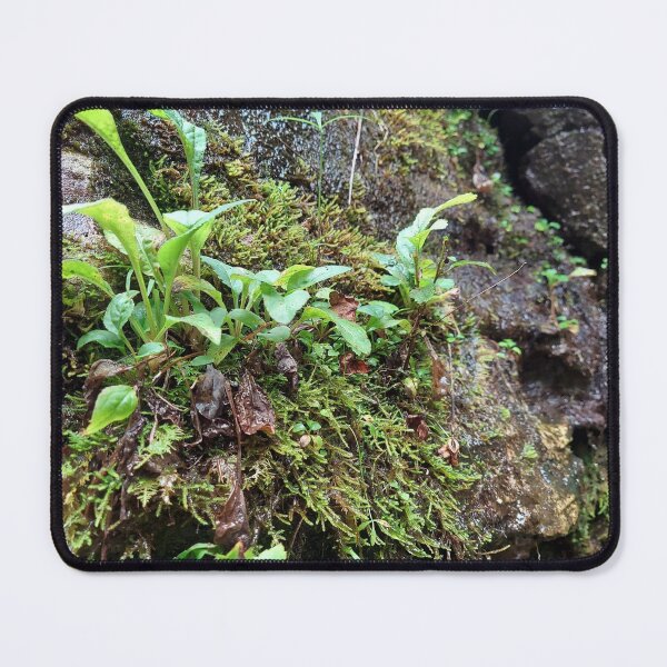 Item preview, the damp green  designed and sold by rainingcrow.