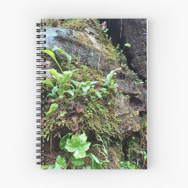 Item preview, the damp green designed and sold by rainingcrow.