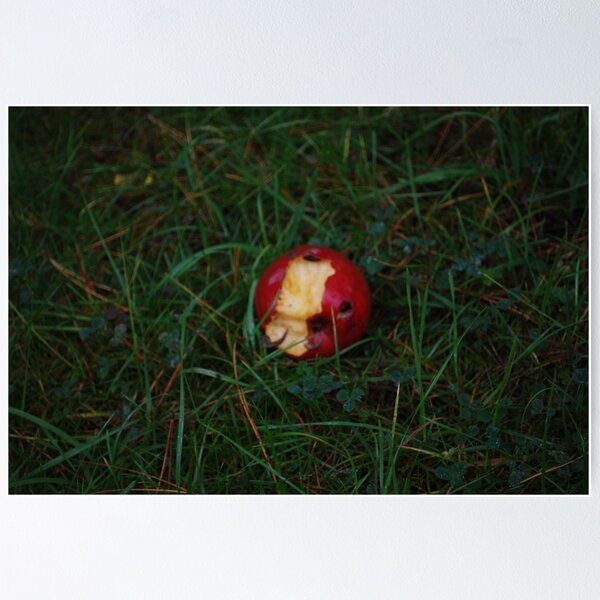 Item preview, Rotten apple eaten away designed and sold by Ckoma.