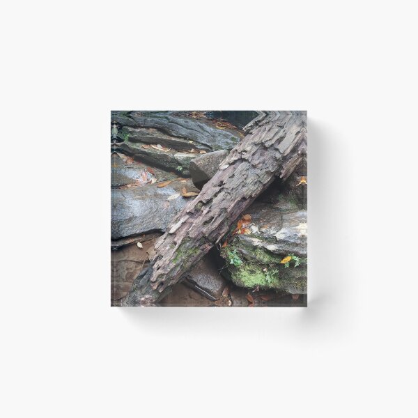 Item preview, log of interest designed and sold by rainingcrow.