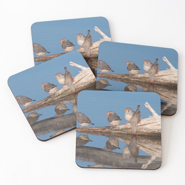 Item preview, zebra finches at Bowra Sanctuary designed and sold by Ozjanette90.