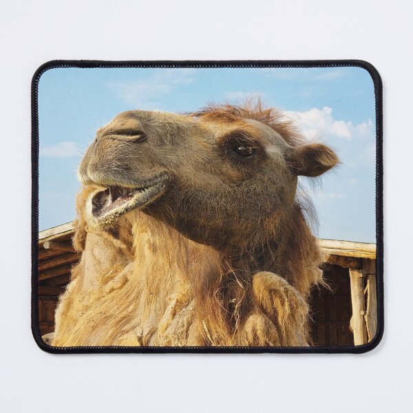Item preview, Portrait of Bactrian Camel designed and sold by Kate-P-.