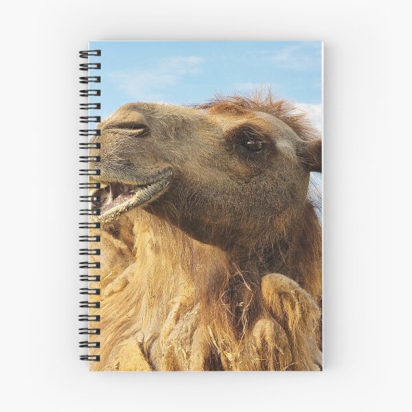 Item preview, Portrait of Bactrian Camel designed and sold by Kate-P-.