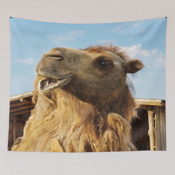 Item preview, Portrait of Bactrian Camel designed and sold by Kate-P-.